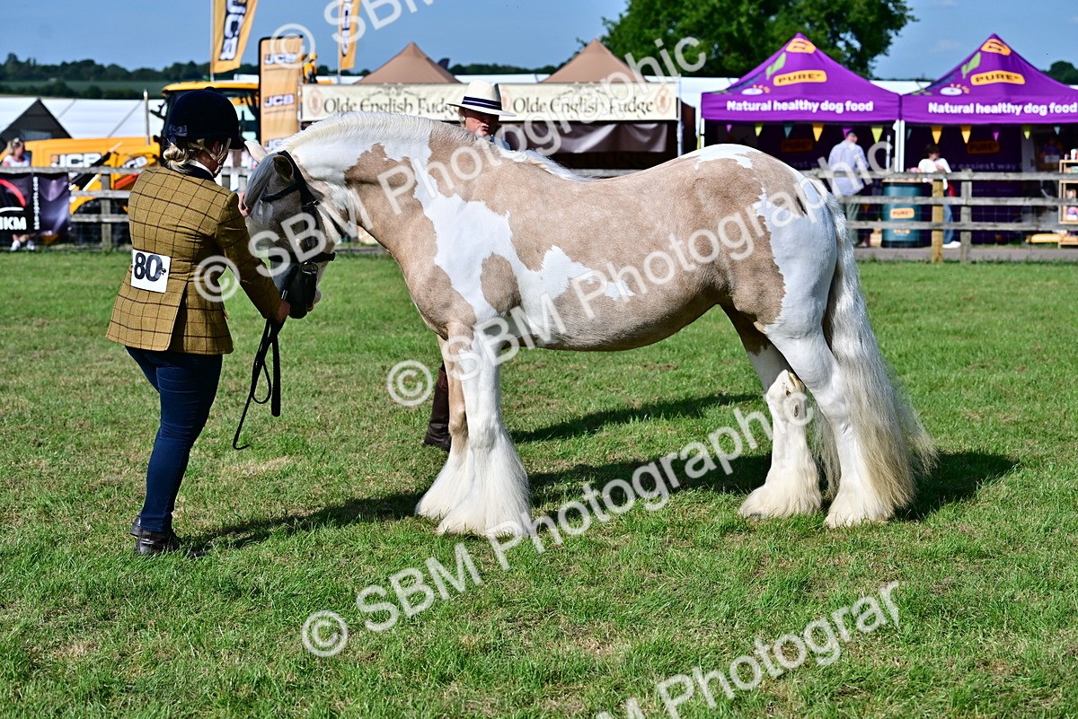 SBM_10101 - Class 63-65 - Traditional Gypsy Cobs In Hand & Ridden