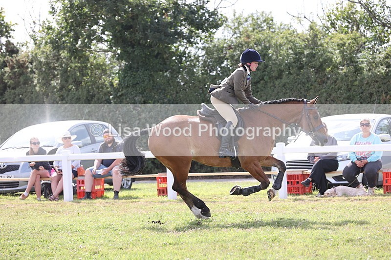 JPP_2641 - Class 20: Working Hunter 70cm