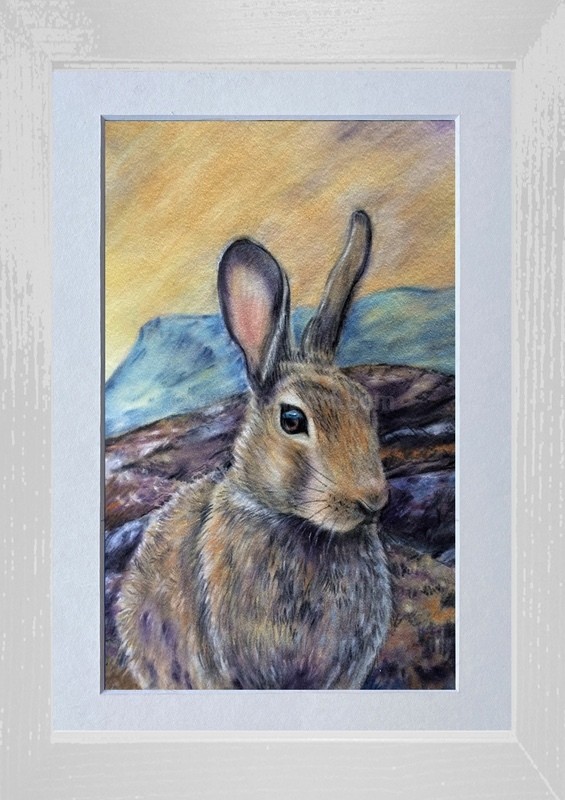 Alert - Widlife/Nature