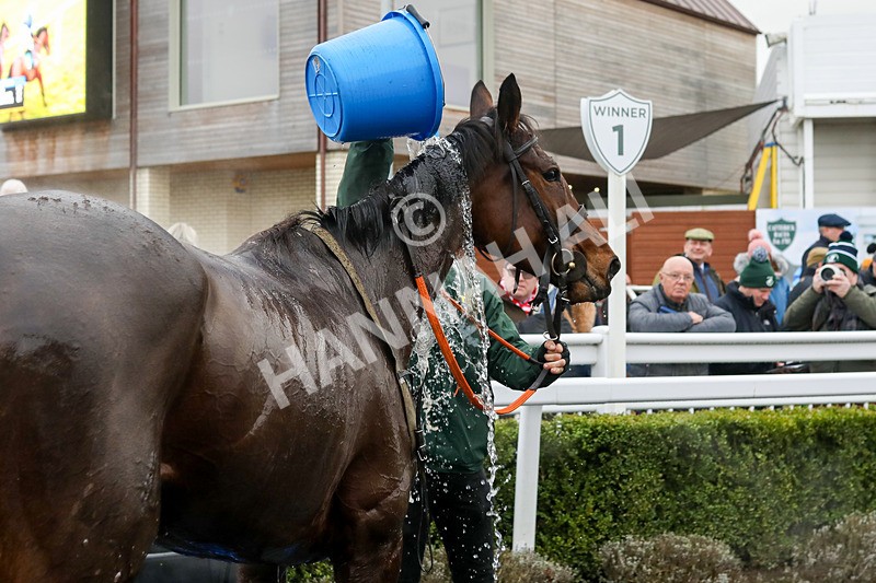 110124-Race 2-Its Maisy-4922 - Race 2