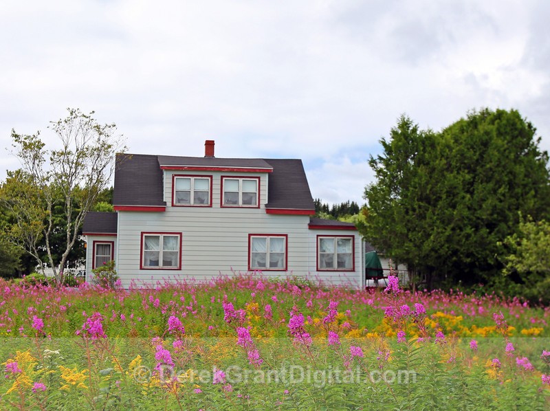 Wildflower Manor - Flora
