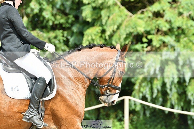 230623-154347-01166 - Cls 7 Medium 69