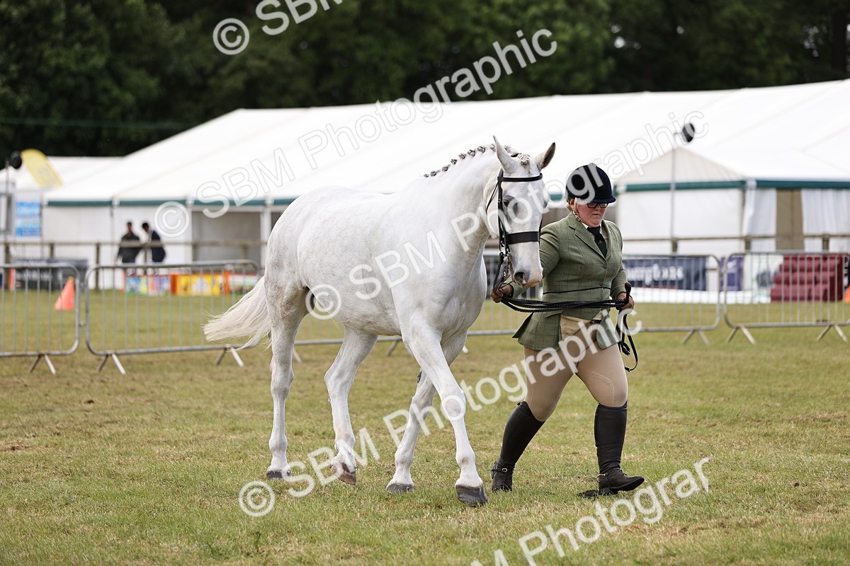 SBM_14741 - Class 88-89 - LIHS BSHA Rising Star of Ridden Hunter Type