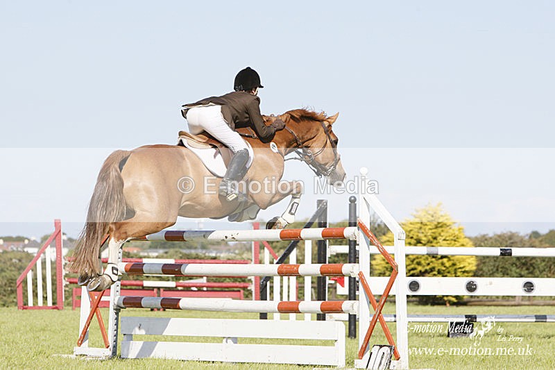 Eq -27 - Equestrian