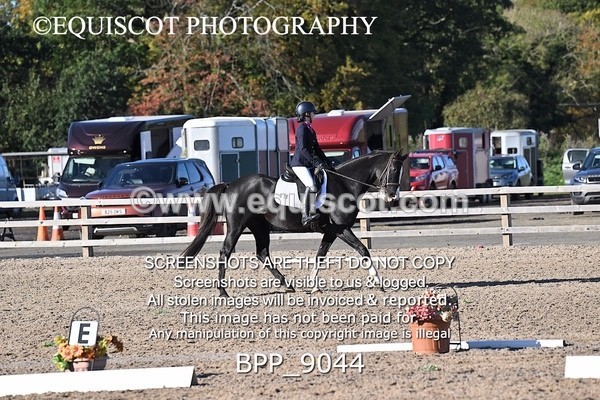 BPP_9044 - SHORT ARENA