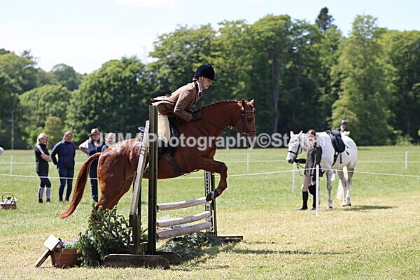 IMG_3768 - Working Hunter