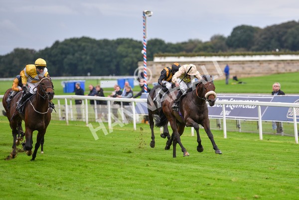 131023-Race 3-Apiarist-9410 - Race 3 3.15pm British EBF £100,000 Final