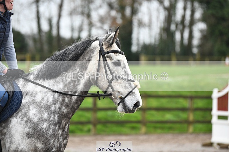 240218-120325-02279 - SJ 10 to 11