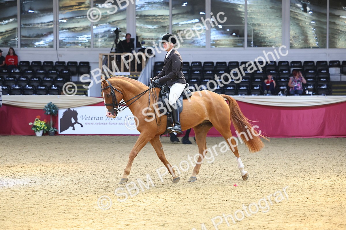 SBM_24091 - Class 905 - Supreme Final - Ridden Veteran