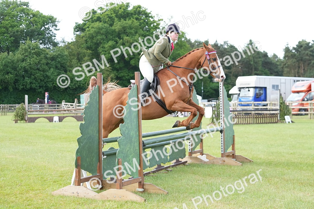 SBM_10473 - Class 97-98 - LIHS BSHA Rising Star Working Show Horse Hunter