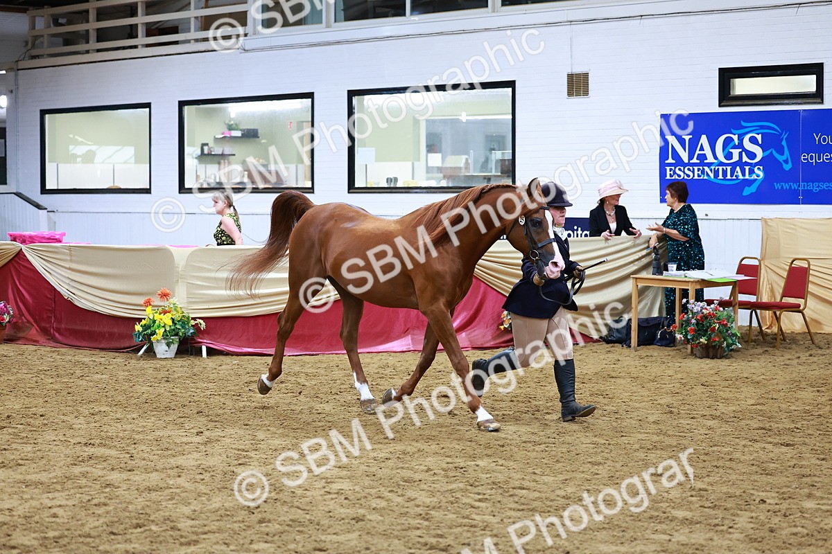 SBM_16230 - Class 901 - Sup Final - IH Diamond