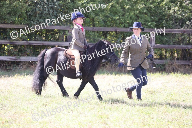 20260906-2766 - Class 25 - Absolute Beginners Pony