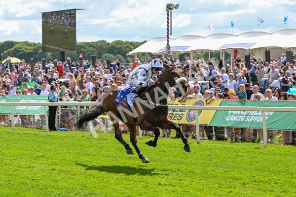140625-Race 3-Al Qareem-2491 - Race 3 3.00pm Sky Bet Race To The Ebor Grand Cup Stakes