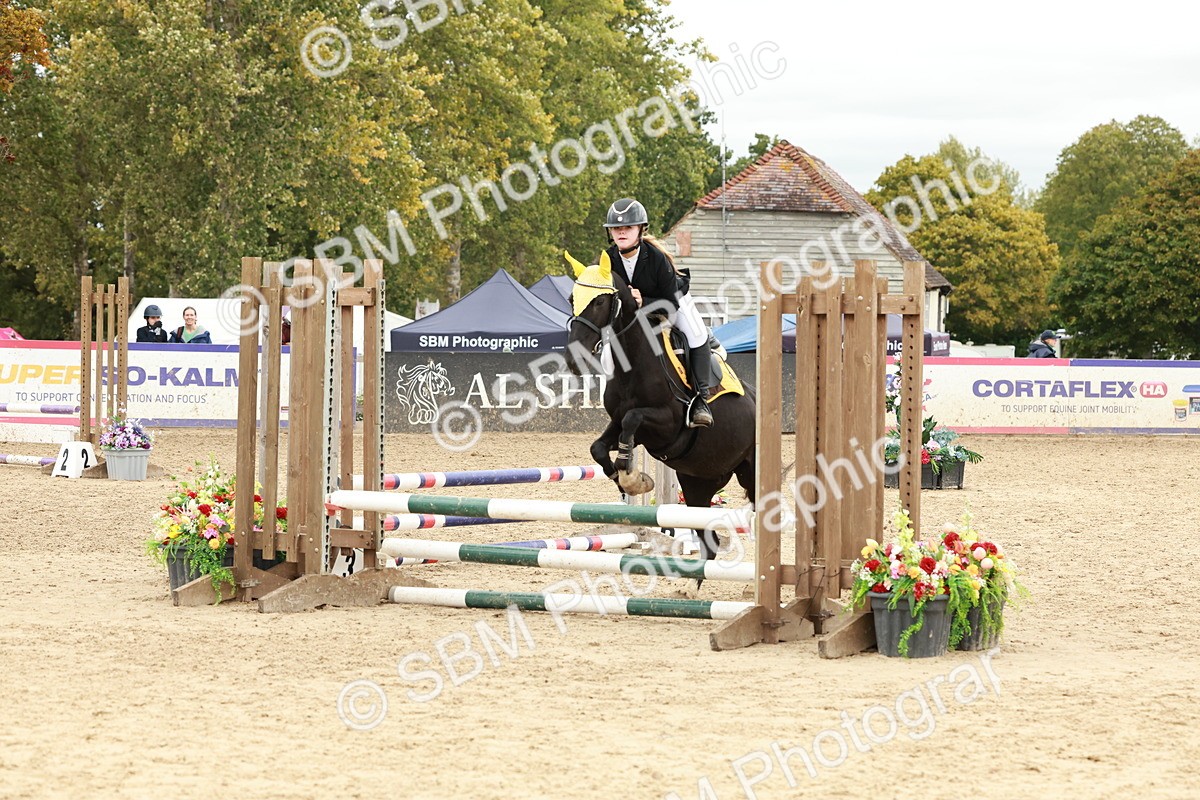 SBM_67111 - J13 - Junior Pony 60cm Championship