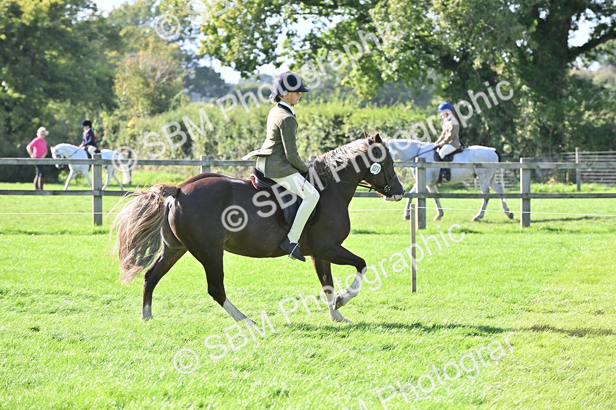 SBM_50292 - S21 - Novice & Newcomers First Ridden