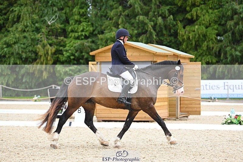 230813-140456-07674 - Cls 13 Medium Bronze 13.15 to End