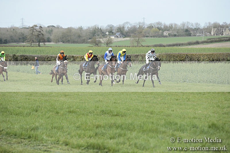 PtP 230319 233 - VWH Hunt Siddington Point-to-Point Racing 23/03/19