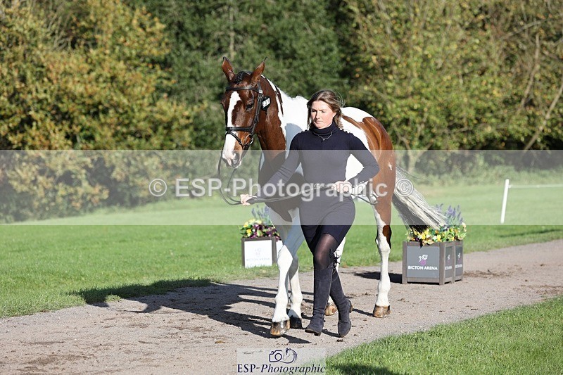 241027-095217-15549 - 331-Amber.Williams-COSMIC.MIKADO