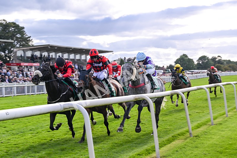 050926-Race 7-Andesite-5467 - Race 7 5pm Thirsk Racecourse Ideal Conference & Events Venue Handicap (Div I)