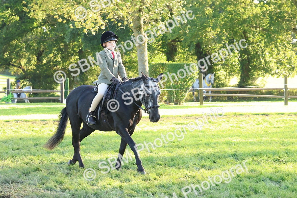 SBM_52990 - S29 - Mature Veteran Ridden