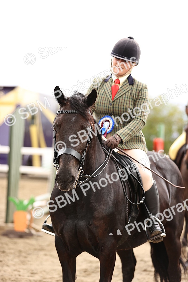 SBM_00357 - Class 52 - Ridden Veteran