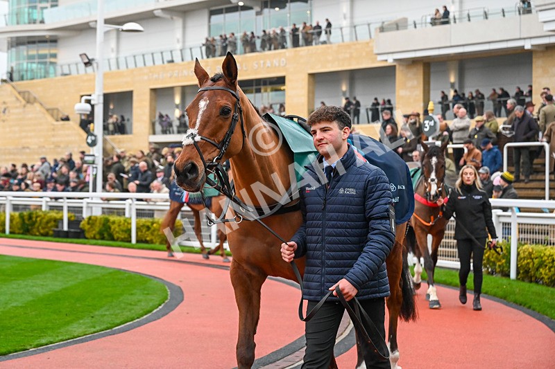 131224-Race 3-Anyharminasking-9413 - Race 3