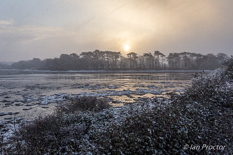 Sunrise on a snowy winter morning - Winter