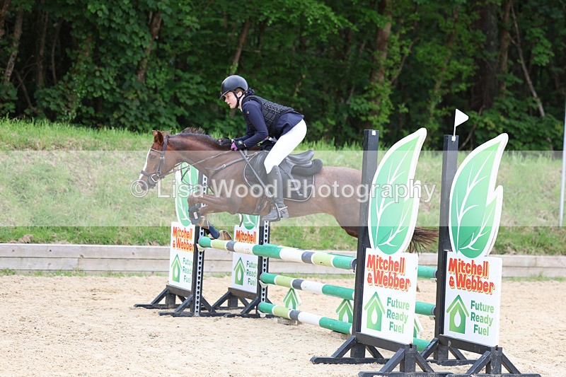 3E7A0107 - Class 13: Pony British Novice/80cm open