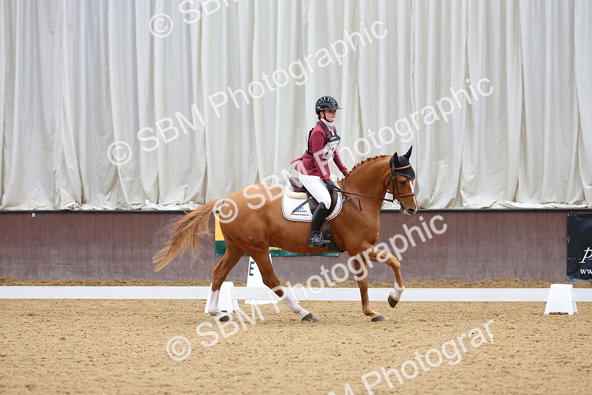 SBM_002646 - Novice