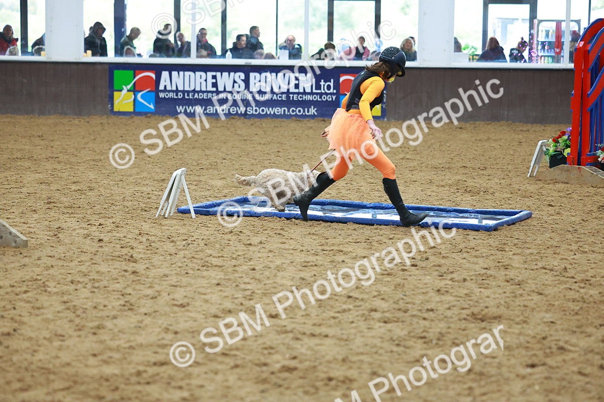 SBM_002368 - Class 3 - Horse & Hound (60cm)