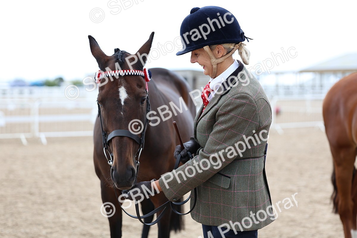 SBM_05737 - Class 28 - IH Veteran Horse