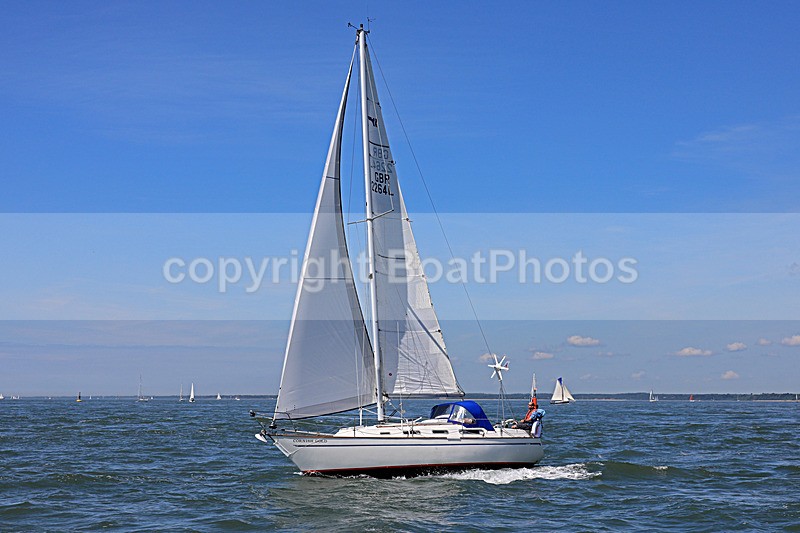 180603 CORNISH GOLD GBR2264L 1Y3A4063_Edit - 180603 CORNISH GOLD GBR2264L