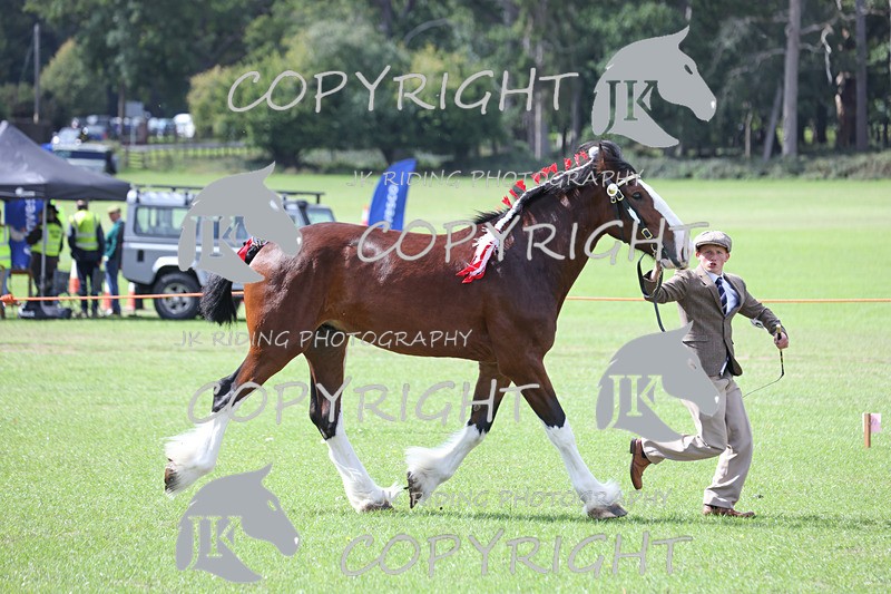 APP_3220 - Class 3 Youngstock