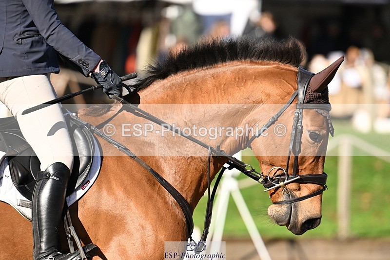 251024A-111735-06765 - B-167-Tabitha.Taylor