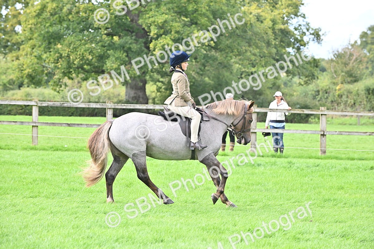 SBM_44476 - S13 - Pony Club Pony