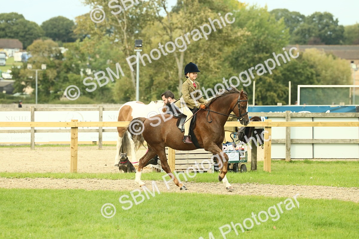 SBM_69889 - S59 - Mountain & Moorland Ridden Small Breeds