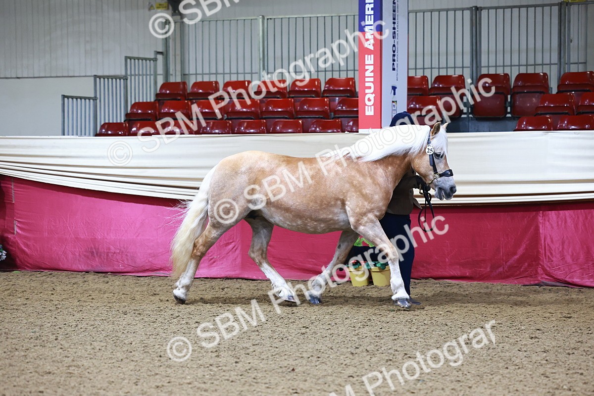 SBM_21648 - Class 901 - Supreme Final - IH  Diamond