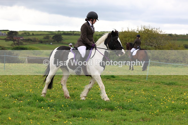 3E7A1529 - Class 8: Ridden Veteran Junoir and Senior