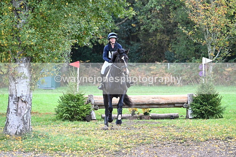 WJ7_3624 - Time 11:13 to 11:32