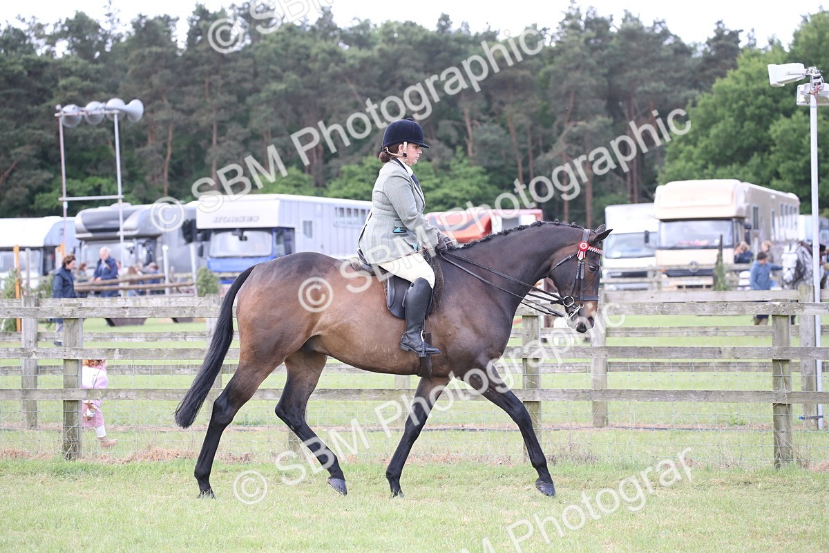 SBM_14139 - Class 113-114 - Retraining of Racehorses Ridden