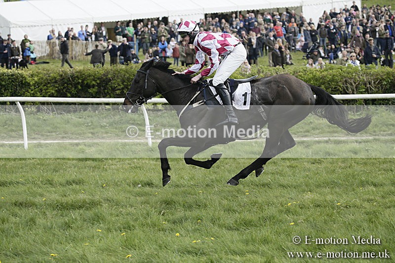PtP 170417 373 - Old Berks Point-to-Point Lockinge 17/04/17