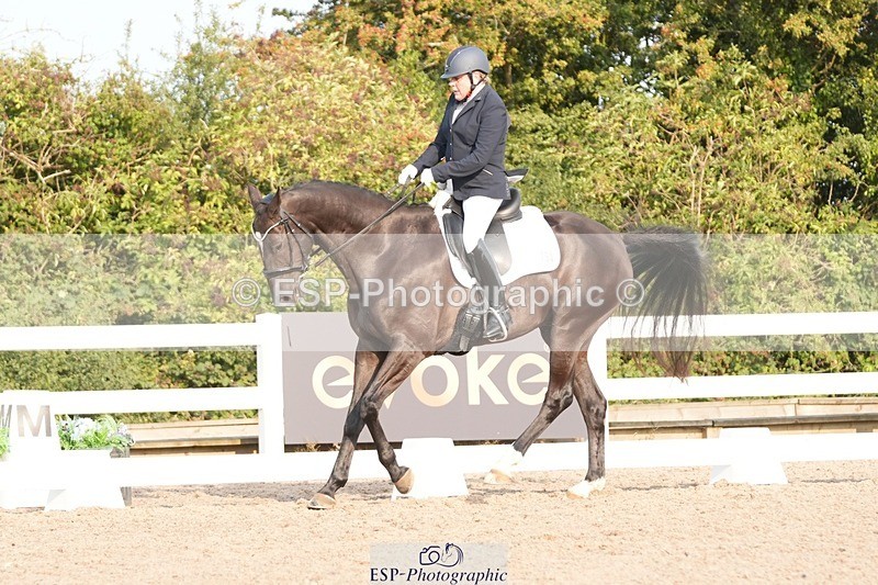 250817-085046-07348 - 164-Carole.MalyonDiamonds.Are.Forever