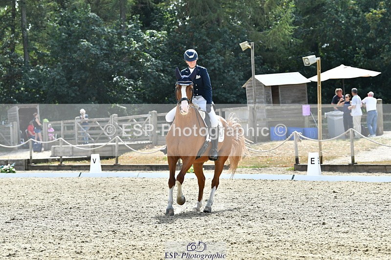 260802A-151755-07350 - Intermediate Bronze