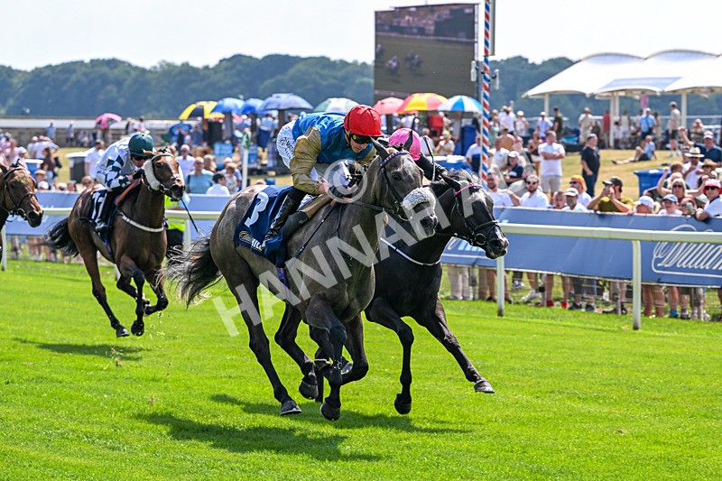 100726-Race 2-Flora Of Bermuda-9662 - Race 2 14.45pm William Hill Summer Stakes