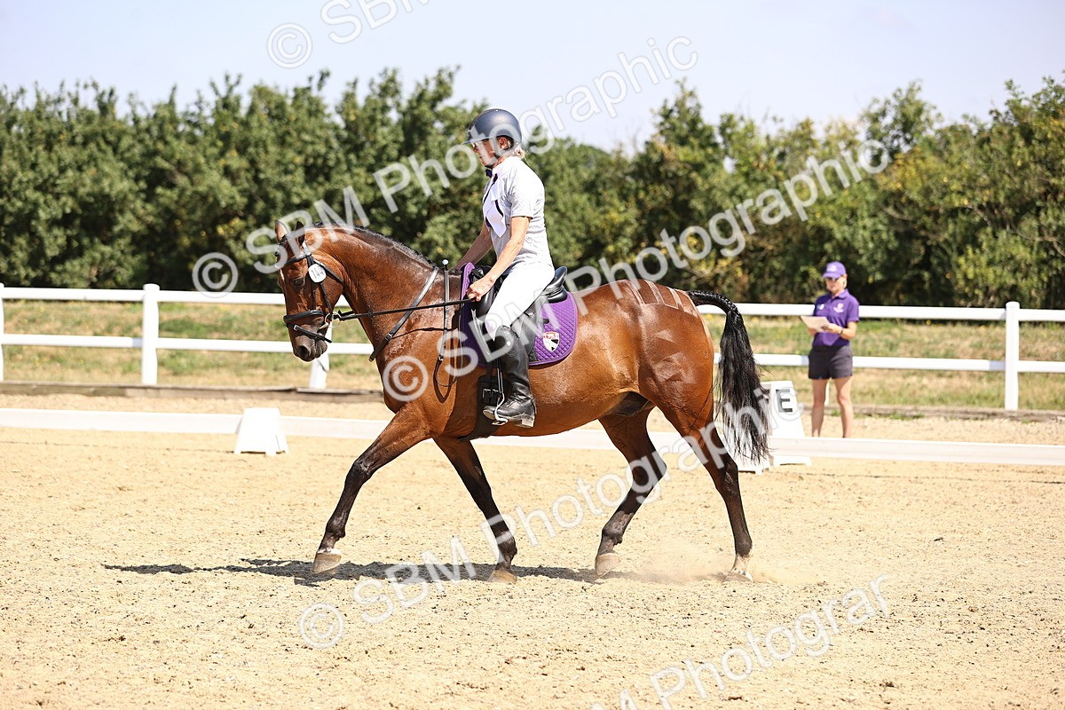 SBM_003730 - Intro 2
