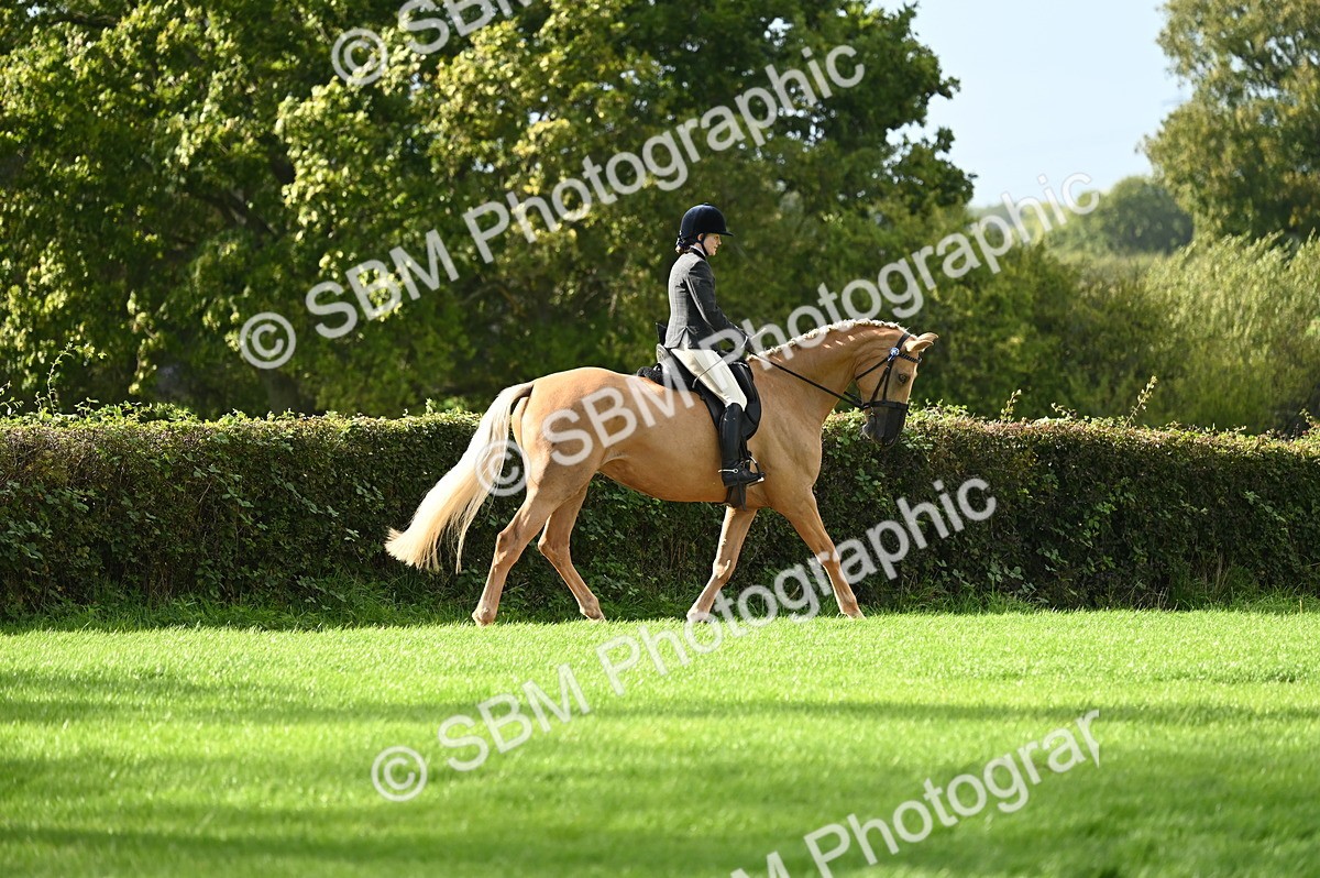 SBM_26405 - S6 - Novice & newcomer Ridden horse