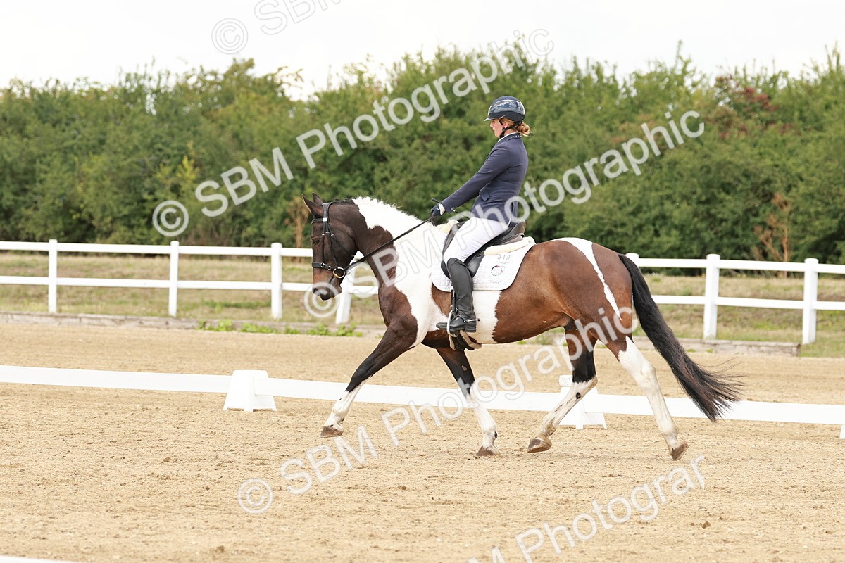 SBM_001815 - Class 8 - Elementary 6