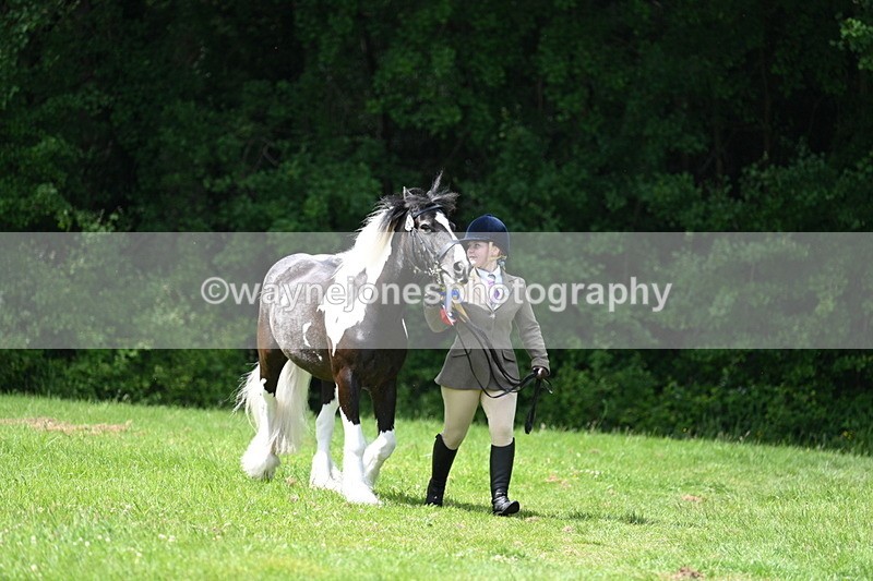 WJ7_1609 - Class 11 Condition & Turnout