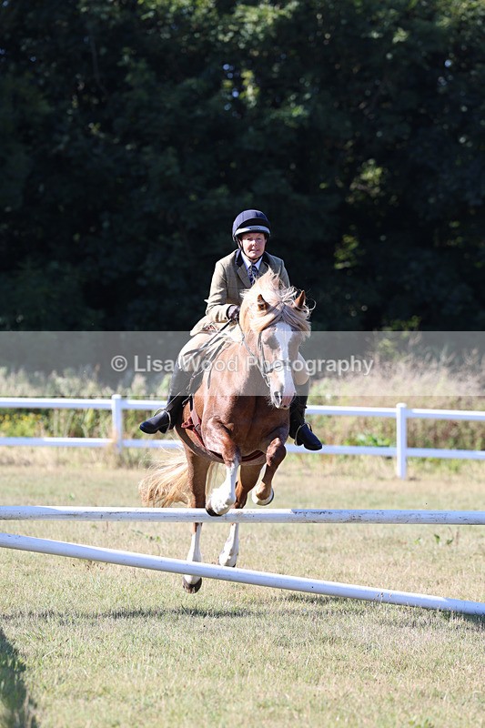 3E7A5420 - Class 3: Working Hunter 70cm