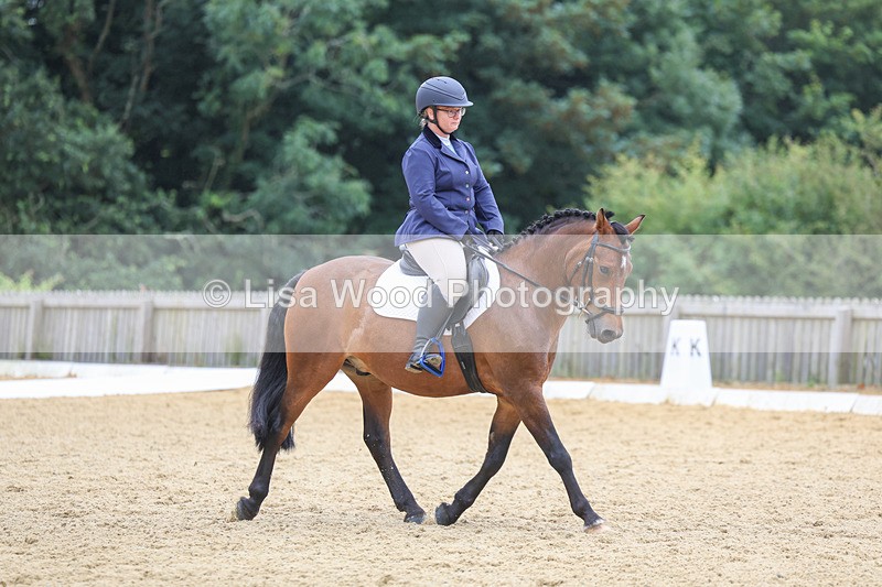 3E7A5167 - Class 2: Intro 4 2024 section B